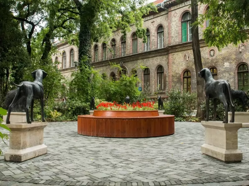 VETERİNERLİK ÜNİVERSİTESİ